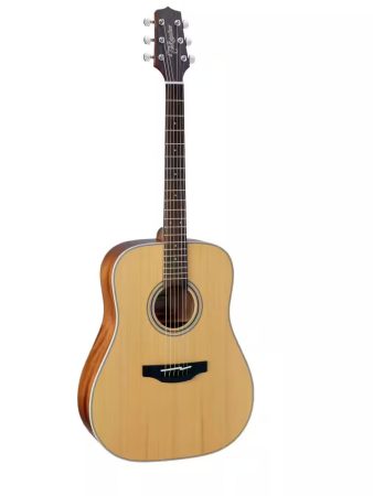 Takamine GD 20 NS